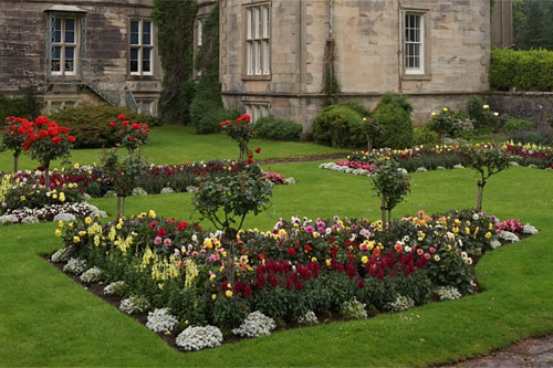 CLASSIC LAWNS & ARTIFICIAL TURF