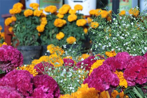 LANTER BOXES & PLANTERS